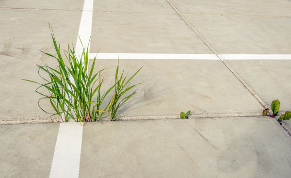 Concrete Parking Installation in Saint Charles