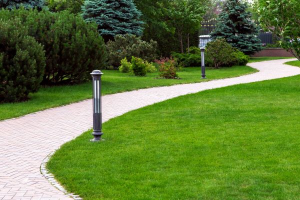 Backyard Sidewalk Installation in Saint Charles