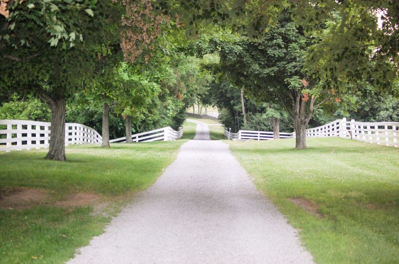 Driveway And Walkway Service